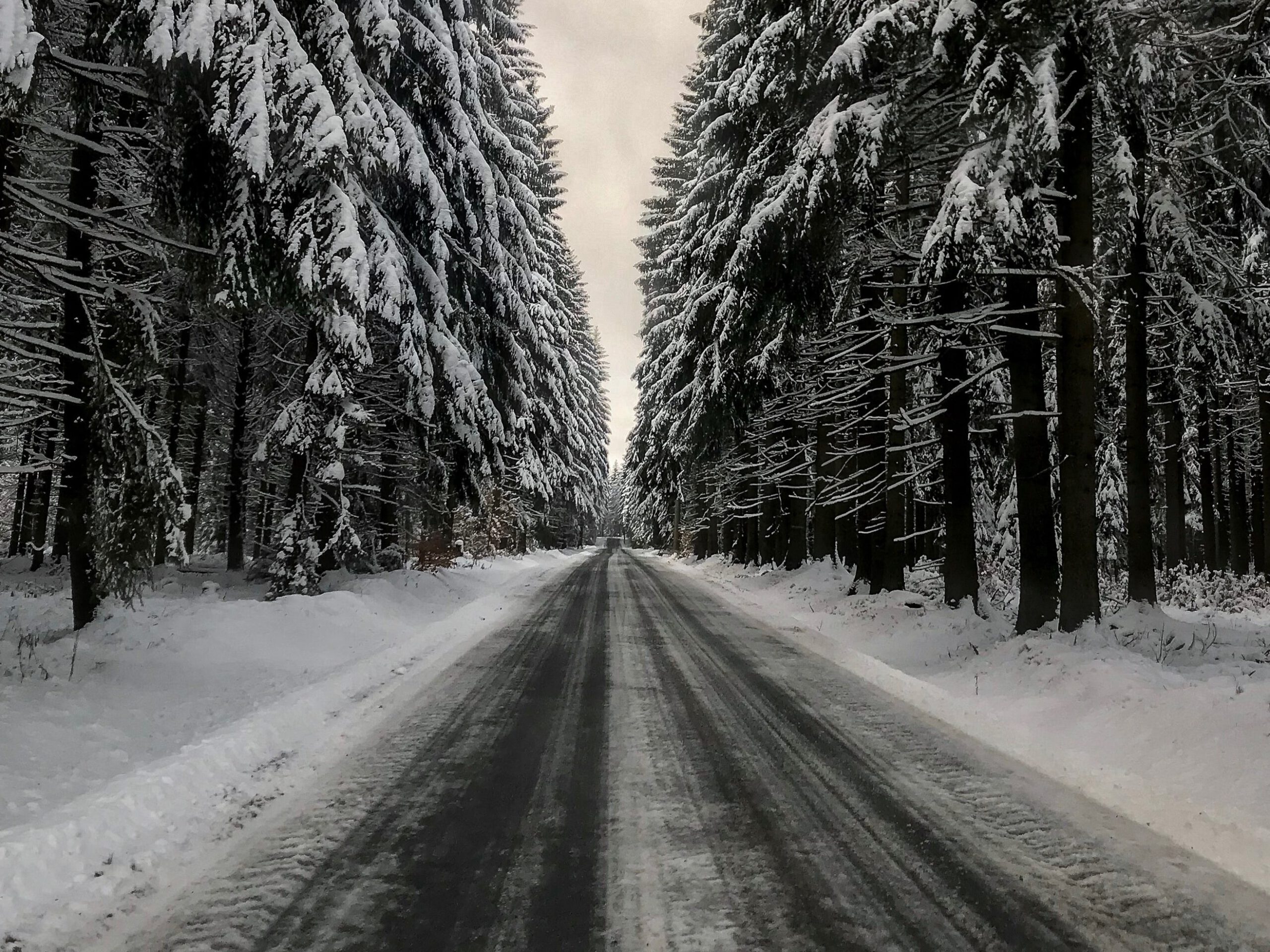 Eine unbefahrende düstere Straße im Wald im Winter.